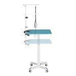 Fudajo Adjustable Height Grooming Table for Pets