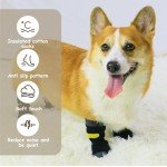 Anti-Slip Dog Socks with Adjustable Straps - 2 Pairs
