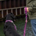 DOG Copenhagen Urban Freestyle 3.0 Leash - Hunting Green