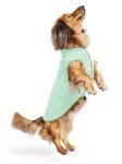 Gold Paw UV Protective Dog Tee - Size 12