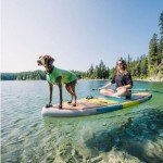 Gold Paw UV Protective Dog Tee - Size 12