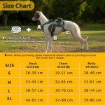 Huntboo Escape Proof Adjustable Dog Harness - Black