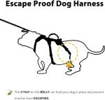 Huntboo Escape Proof Adjustable Dog Harness - Black