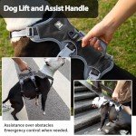 Huntboo Escape Proof Adjustable Dog Harness - Black