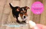 Healthy Dog Nutrition Guide for Happy Pups