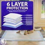 Rex & Roxy 50 Pack Leak-Proof Puppy Pads