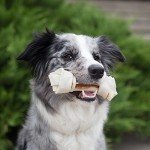 8in1 Delights Chicken Chew Bone for Medium Dogs