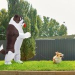 Funny Inflatable Dog Costume for Adults