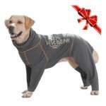 Dog Recovery Suit for Surgery – XXL Dark Gray