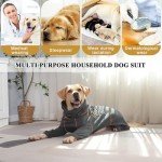 Dog Recovery Suit for Surgery – XXL Dark Gray