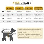 Dog Recovery Suit for Surgery – XXL Dark Gray