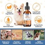Natural Yeast Relief for Dog Itch and Discomfort