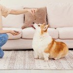 Natural Chicken & Duck Dog Treats - 5 Pack