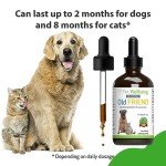 Old Friend Supplement for Senior Dogs & Cats