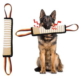 Interactive Tug Toy for Medium to Large Dogs
