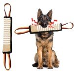 Interactive Tug Toy for Medium to Large Dogs