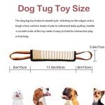 Interactive Tug Toy for Medium to Large Dogs