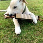 Interactive Tug Toy for Medium to Large Dogs