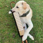 Interactive Tug Toy for Medium to Large Dogs