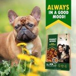 Peanut Butter Cranberry Dog Treats - Rawhide Free