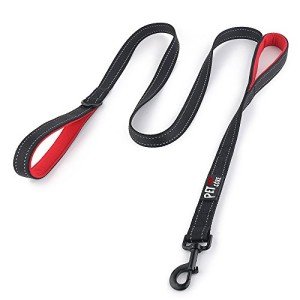 Pioneer Petcore Heavy-Duty Dog Lead with Handles