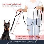 Pioneer Petcore Heavy-Duty Dog Lead with Handles