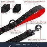 Pioneer Petcore Heavy-Duty Dog Lead with Handles