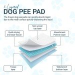Super Absorbent Puppy Training Pads - 100 Count