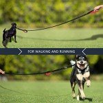 Pioneer Petcore Heavy-Duty Dog Lead with Handles