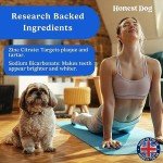 Vet-Approved Dog Mouthwash for Fresh Breath