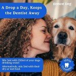 Vet-Approved Dog Mouthwash for Fresh Breath