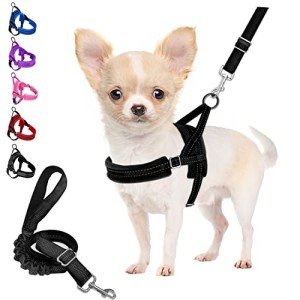 No Pull Small Dog Harness and Lead Set