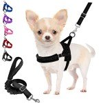 No Pull Small Dog Harness and Lead Set