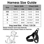 No Pull Small Dog Harness and Lead Set
