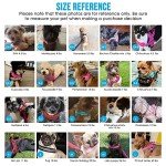 No Pull Small Dog Harness and Lead Set