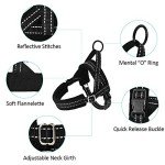 No Pull Small Dog Harness and Lead Set