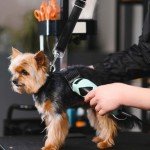 3-Pack Adjustable Dog Grooming Arm Straps