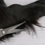 Pet Grooming Scissors for Dogs and Cats