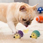 Squeaky Latex Dog Toy for Small Puppies (2-Pack)