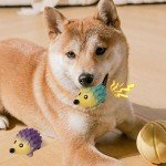 Squeaky Latex Dog Toy for Small Puppies (2-Pack)