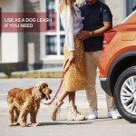 Adjustable Headrest Dog Car Seat Belt - 2 Pack