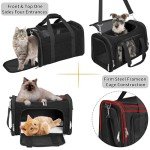 Collapsible Soft Pet Carrier with Shoulder Strap