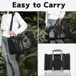 Collapsible Soft Pet Carrier with Shoulder Strap