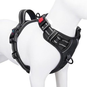 No Pull Adjustable Dog Harness for Small Dogs