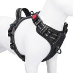 No Pull Adjustable Dog Harness for Small Dogs