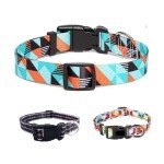 Adjustable Nylon Dog Collar with Fun Patterns