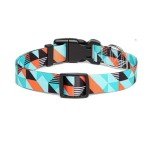 Adjustable Nylon Dog Collar with Fun Patterns