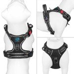 No Pull Adjustable Dog Harness for Small Dogs