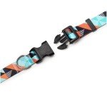 Adjustable Nylon Dog Collar with Fun Patterns
