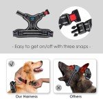 No Pull Adjustable Dog Harness for Small Dogs